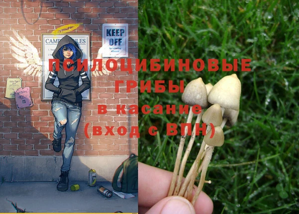 гашиш Кукмор