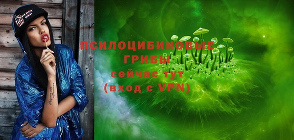 крисы Куйбышев