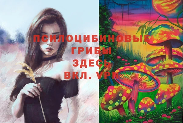 стаф Лагань