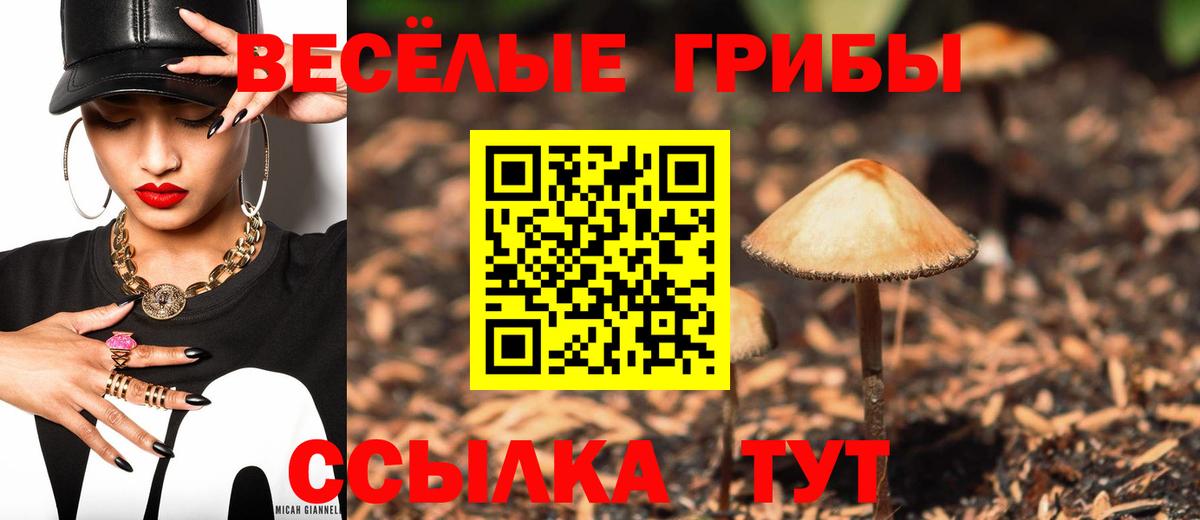Туапсе  Галлюциногенные грибы MAGIC MUSHROOMS  купить   Вход с VPN 